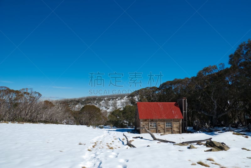 小屋,snow gum,牧场主,防风设备,瓦楞铁,桉树,瓦楞纸板,水平画幅,山,雪