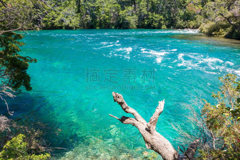 巴塔哥尼亚,阿根廷,河流,落叶松,自然,南美,安地斯山脉,水平画幅,绿色,地形