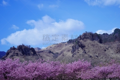 樱桃树,山脉,摄像机拍摄角度,公园,当地著名景点,彩色背景,景观设计,云,枝繁叶茂