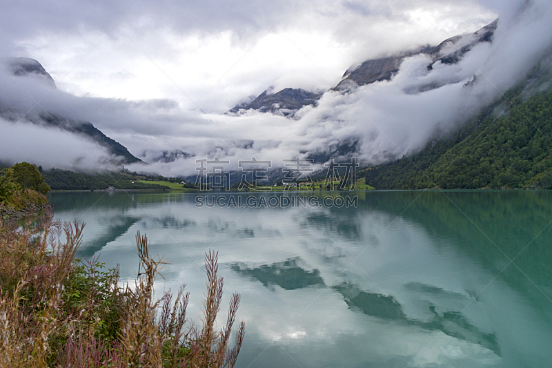 湖,雾,早晨,挪威,斯堪的纳维亚半岛,云,北欧,植物,夏天,户外
