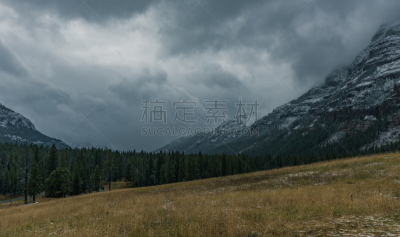 黄石公园,冬天,雪山坡,蒙大拿州,怀俄明,林荫大道,美国西部,水平画幅,山,雪