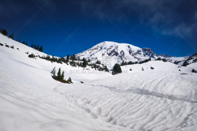 雪,雷尼尔雪山,湖,天空,水平画幅,云,无人,夏天,户外,针叶树