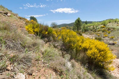 Landscape in Cañadas de Haches de Arriba