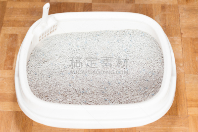 猫盒,野生猫科动物,圣伯纳犬,尿液,水平画幅,沙子,无人,猫科动物,塑胶,沙坑