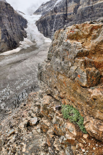 冰河,数字6,平原,victoria glacier,蝶形谷,维多利亚山,大陆分水岭,露易斯湖,冰碛,垂直画幅