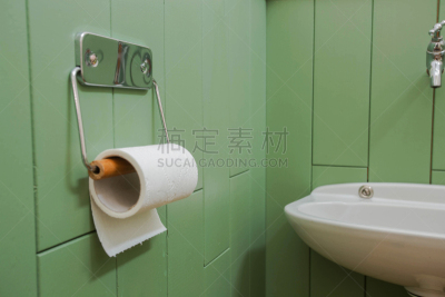 白色,卫生纸,浴室,墙,柔和,极简构图,绿色,拿着,整齐的,卷起