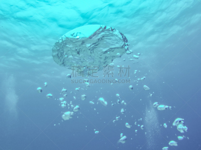 沙姆谢伊赫,埃及,浮潜,鱼类,珊瑚,大群动物,水,美,洞,水平画幅
