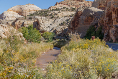 风景,犹他,地球,莫斯特,一只动物,路,万岩柱,沙岩,escalante,沙漠