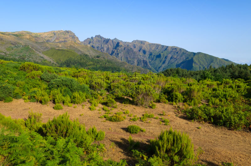 葡萄牙,地形,马德拉群岛,绿山国家森林公园,马德罗斯代尔卡门,茅屋屋顶,马德拉,天空,美,水平画幅