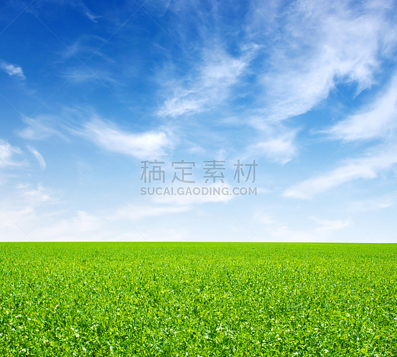 田地,自然,天空,草地,水平画幅,绿色,地形,山,无人,蓝色