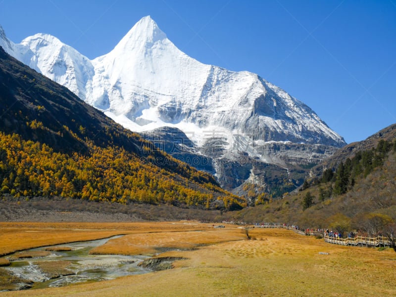 雪山,草地,多色的,山,空中走廊,雪,草,小路,背景,户外