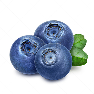 蓝莓,清新,叶子,三个物体,素食,生食,维生素,标签,组物体,特写