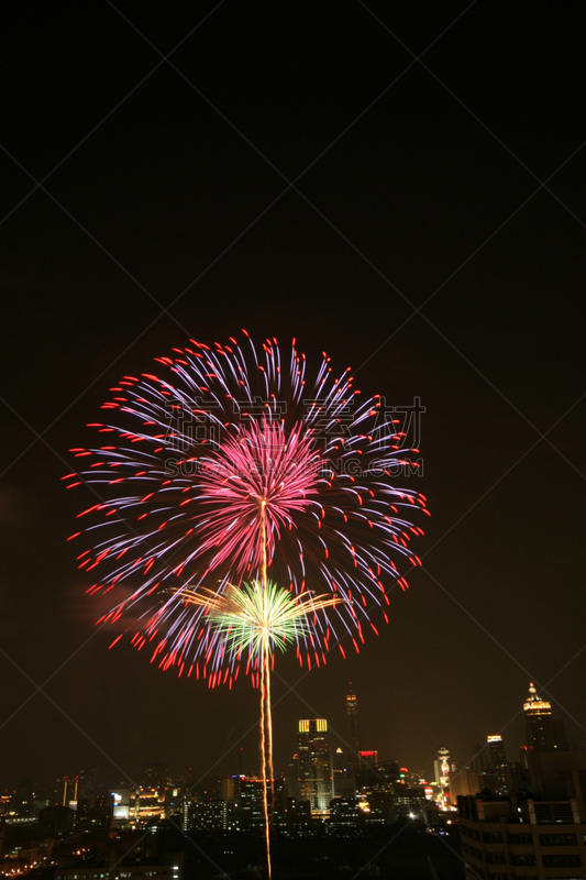 城市,传统节日,垂直画幅,夜晚,无人,宫殿,2015年,放焰火,雾,摄影