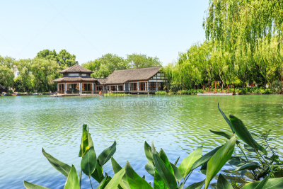 西湖,杭州,夏天,园林,自然美,亭台楼阁,水,天空,美,公园