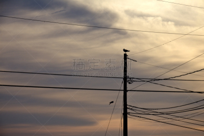 能源,杆,马莎葡萄园,电线杆,水平画幅,无人,蓝色,抽象,黄昏,户外