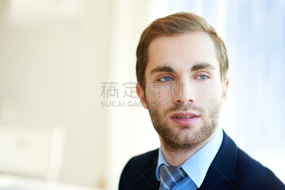 男商人,领导能力,男子气概,水平画幅,智慧,美人,白人,经理,男性,仅男人