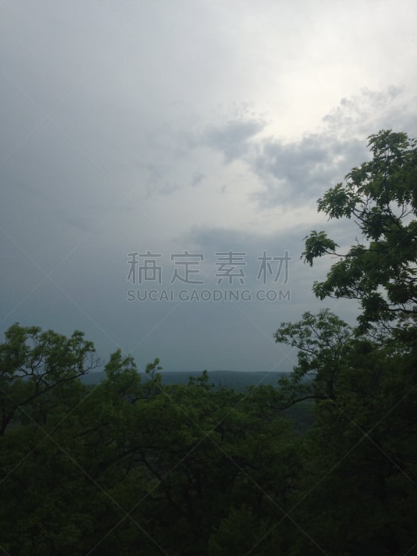 全景,山顶,栽培植物,哈利曼州立公园,橘子郡,橘子县,垂直画幅,山,无人,夏天