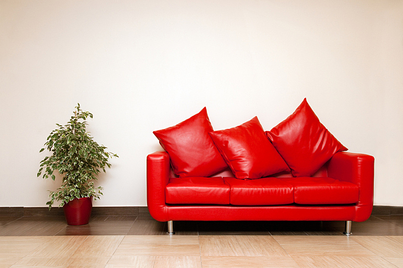 皮革,沙发,植物,红色,枕头,座位,水平画幅,形状,纺织品,无人