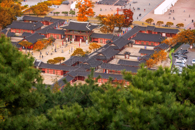 华城市,秋天,宫殿,韩国,水原,叶子,水平画幅,建筑,古老的,南
