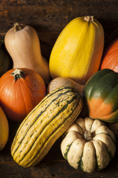 南瓜属,秋天,有机食品,多样,垂直画幅,acorn squash,葫芦,素食,无人,南瓜