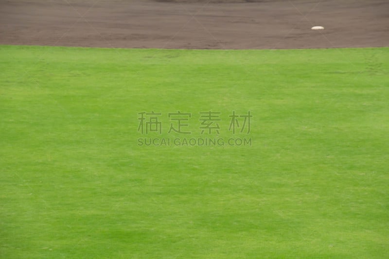 Outfield grass of a baseball field