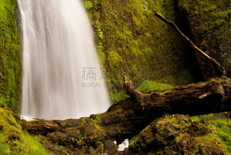 wahkeena waterfall,水,俄勒冈州,俄勒冈郡,沟壑,水平画幅,枝繁叶茂,瀑布,无人,苔藓