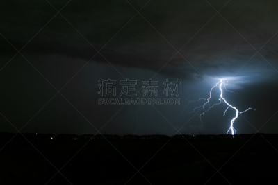 荷兰,侧面视角,保龄球全中,枝,大群动物,气候,云景,环境,云,自然神力