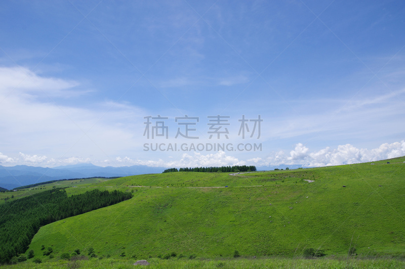 雾峰高原,看风景,度假胜地,水平画幅,枝繁叶茂,长野县,千野,无人,夏天,户外