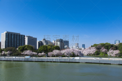 樱桃树,沟,天空,水平画幅,无人,蓝色,公路,户外,城市,摩天大楼
