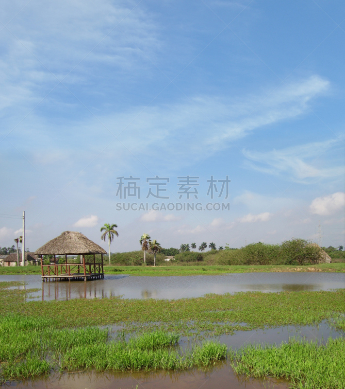 古巴,种植园,烟草,自然,垂直画幅,水,天空,绿色,建筑,无人