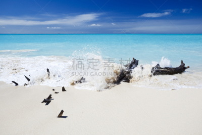 浮木,海滩,加勒比海地区,河岸,风景,英属蒙塞拉特岛,安提瓜,色彩饱和,极简构图