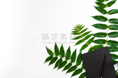 速写本,绿色,看风景,在上面,自然,桌子,铅笔,平铺,华丽的