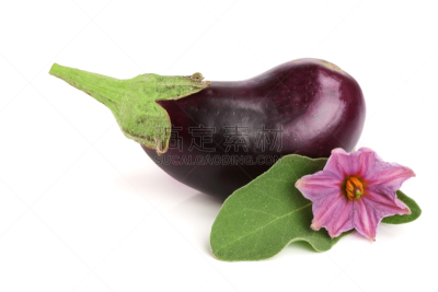 Eggplant or aubergine vegetable isolated on white background