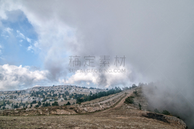 克里米亚,俄罗斯,山,在上面,皮氏培养皿,旅游目的地,电子人,一只动物,黑海,雅尔塔