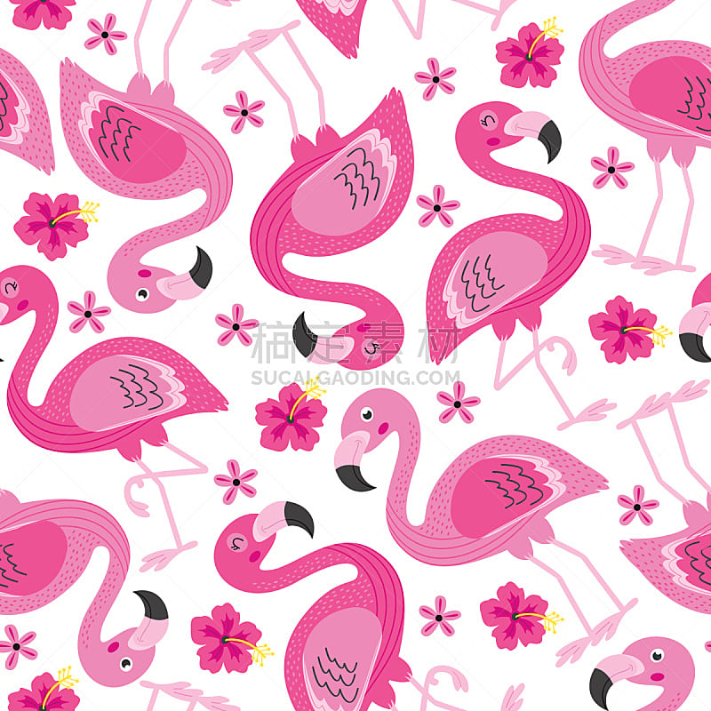 火烈鸟,四方连续纹样,粉色,木槿属,夏威夷,美,无人,绘画插图,鸟类,性格