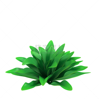 灌木,枝繁叶茂,叶子,植物,绿色,白色,自然,草本,背景分离,图像