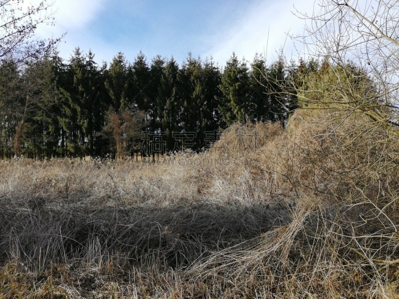 地形,旷野,切片食物,自然荒野区,风景,自然,奥地利,图像,美,灌木