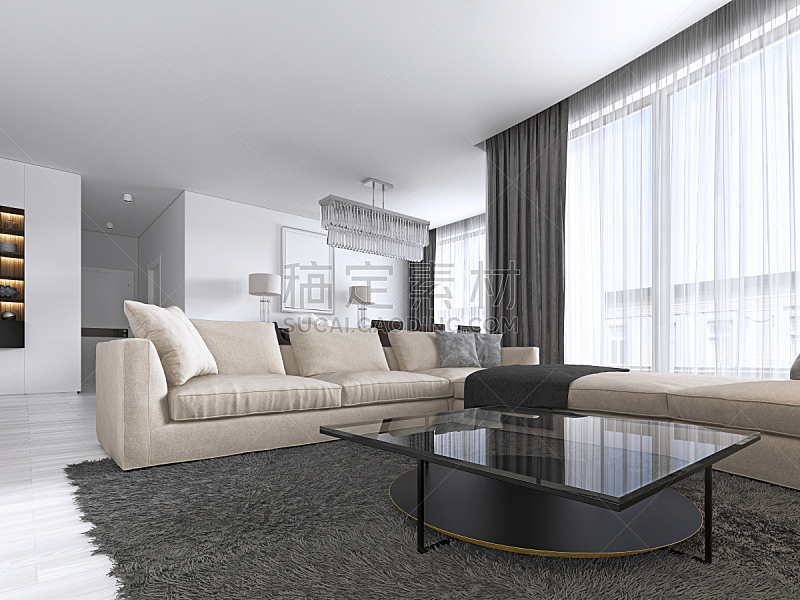 沙发,现代,起居室,巨大的,角度,电视机,室内设计师,高雅,金属,空的
