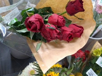玫瑰,红色,花束,特写,清新,浪漫,肖像,橙色,草,法国香草束 