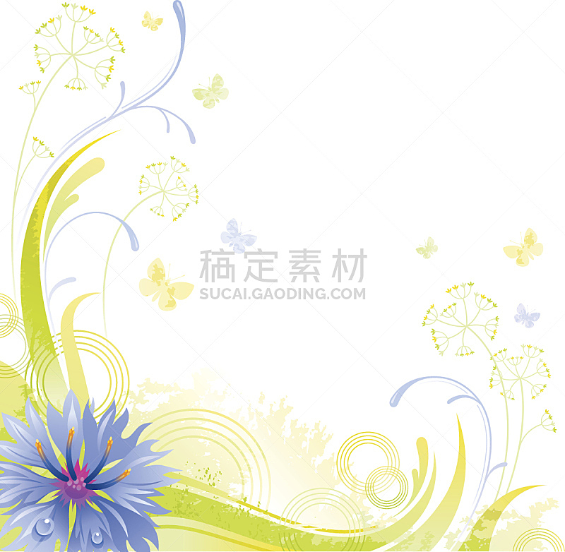 矢车菊,留白,仅一朵花,蓝色,背景,正方形,美,边框,芳香的,水平画幅