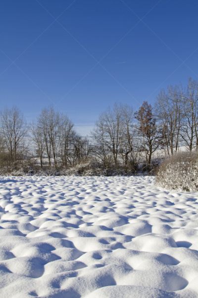 草地,雪,沼泽,垂直画幅,停泊的,旷野,摩尔人风格,地形,巴特特尔茨－沃尔夫拉策豪森县,无人