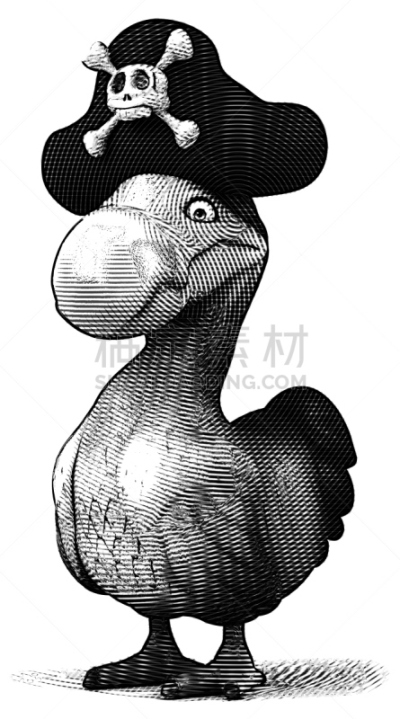 古代巨鸟,垂直画幅,野生动物,绘画插图,符号,鸟类,动物学,观鸟,卡通,古生物学