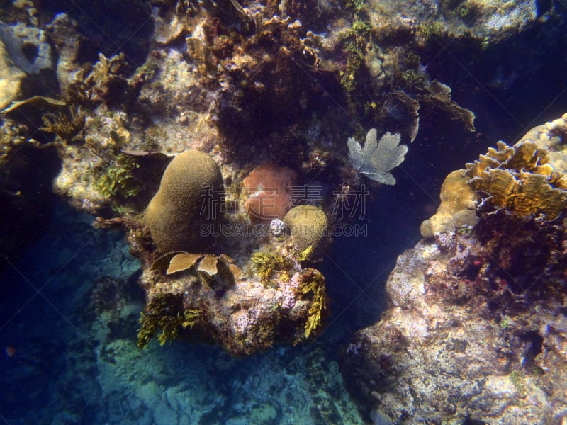 海滩,高架铁路铁轨,珊瑚,马坦萨斯省,旅游目的地,水平画幅,水肺潜水,无人,蓝色,大西洋