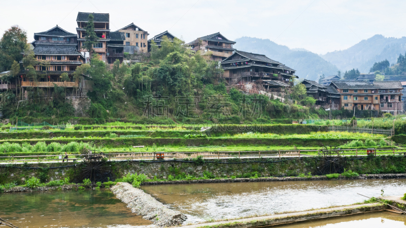 梯田,园林,乡村,房屋,三江,水稻梯田,灌溉设备,稻田,运河,河岸