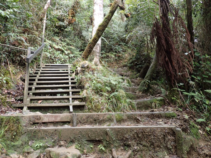 自然,街道,男人,京那峇鲁山,京那巴鲁山国家公园,婆罗洲岛,水平画幅,无人,人造,户外