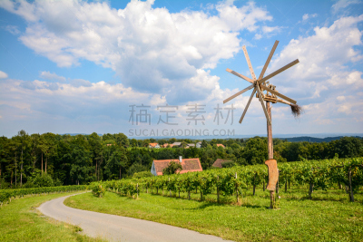 葡萄酒,奥地利,葡萄园,南,路,纸风车,夏天,stajerska,农作物,著名景点