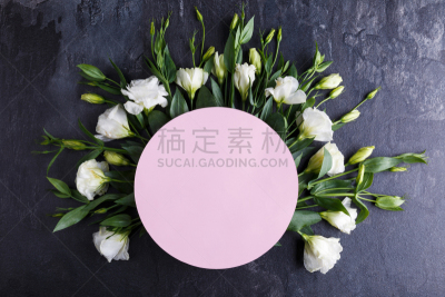 玫瑰,背景,看风景,石头,高视角,半圆形,蔷薇花,皱叶蔷薇,理想工作,玫瑰公园