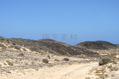 罗博斯角州立保护区,加那利群岛,岛,西班牙,植物群,富埃特文图拉岛,特内里费岛,水,风
