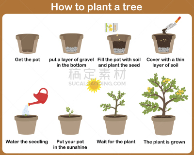 植物群,农业,一个物体,儿童教育,小的,动物,商业金融和工业,儿童,植物,导游