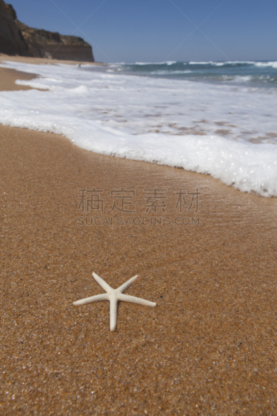 海滩,海星,阿波罗小镇,沃纳姆堡,巴思海峡,十二门徒峰,大洋路,坎贝尔海港,垂直画幅,无人